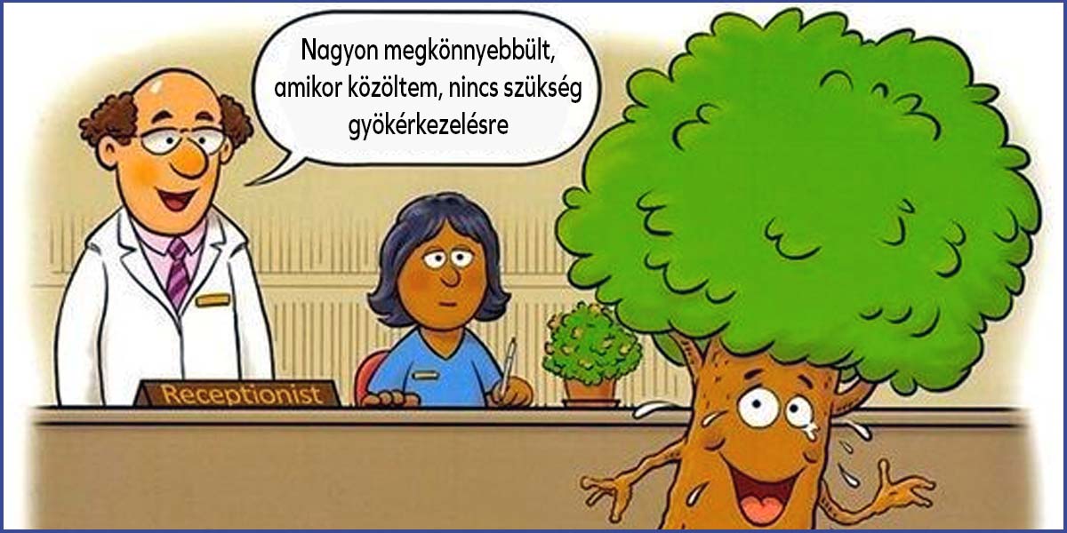 Fog Gyökérkezelés, Mikor Szükséges, Hogyan Történik